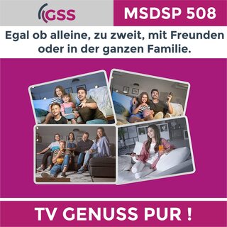 GSS MSDSP 508 Multischalter mit Netzteil